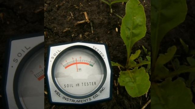 Как улучшить почву смотреть онлайн