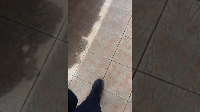 Моя Жизнь прекрасна і Мені дуже сильно Нравиться Дуа Липа смотреть онлайн