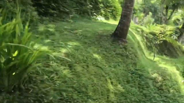 Отель “Ayung Resort Ubud, река Ayung