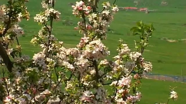 Akner Hamaynqapatker