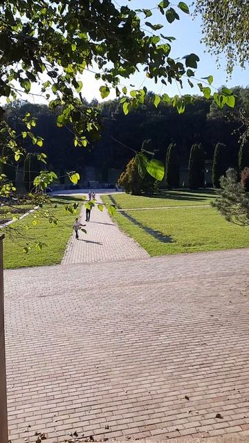 20230919_162444 смотреть онлайн