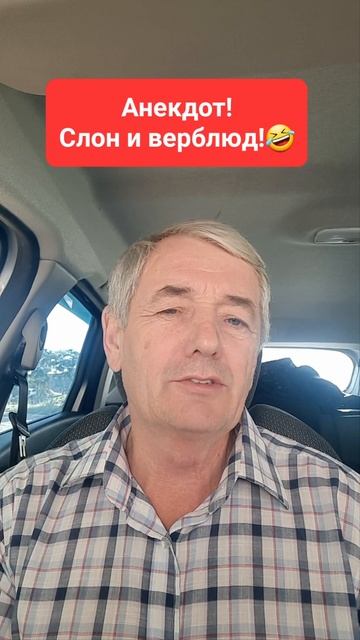 Анекдот! Слон и верблюд!🤣😉 смотреть онлайн