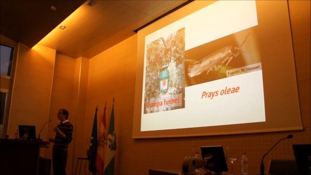 Rafael Alcalá Herrera смотреть онлайн