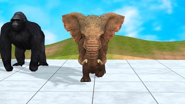 Long Slide Game With Gorilla Elephant Hippopotamus Buffalo Tiger 3d Animal Game Funny 3d Animals смотреть онлайн