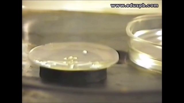 Замерзание воды при пониженном давлении смотреть онлайн