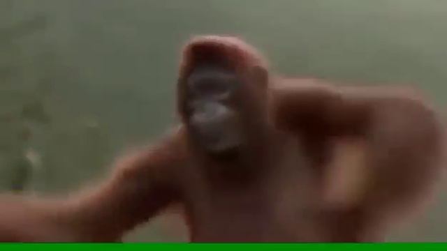 Бибизянка смотреть онлайн