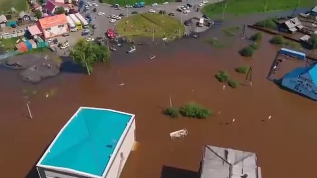 Вот так и живём..... смотреть онлайн