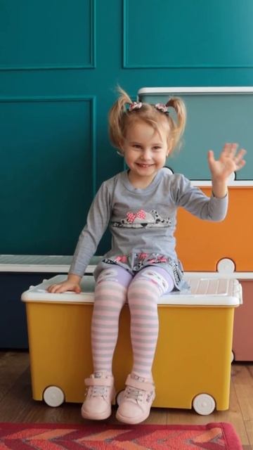 Ящик контейнер для игрушек Тега Tega