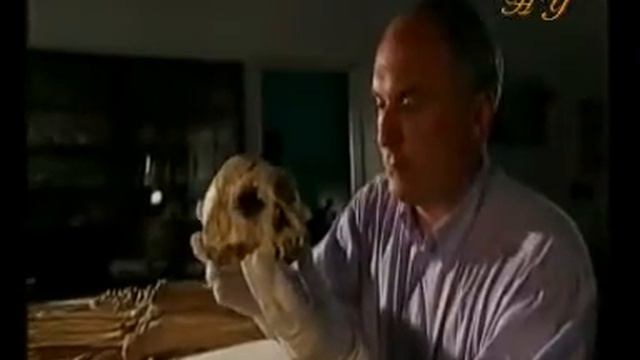 Evolution Discredited by Fossils (Part 1 of 7) смотреть онлайн