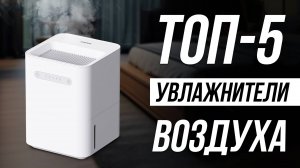 Лучшие увлажнители воздуха в 2025 / Какой выбрать?