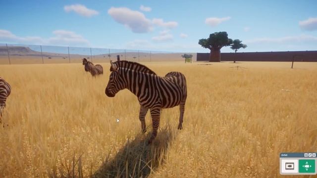 Planet Zoo Plains Zebra Gameplay HD смотреть онлайн