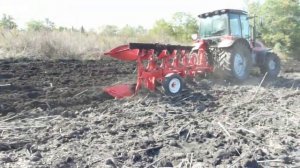 Плуг Мастер А5 с МТЗ 1523 в поле