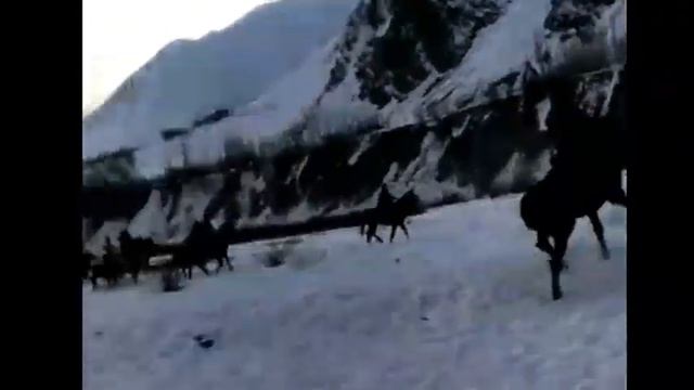 Ат улак, Буз каши, Актачы-Кесек, долононун сайы, Жергетал Чиргатол н.Лахш.