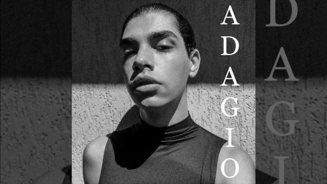 ADAGIO | LARA FABIAN COVER | ZEEH. смотреть онлайн