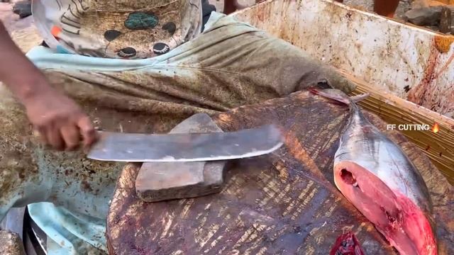 KASIMEDU 🔥 SPEED SELVAM | BIG SIZE BARRACUDA FISH CUTTING | IN KASIMEDU | HD VIDEO | FF CUTTING 🔪 смотреть онлайн