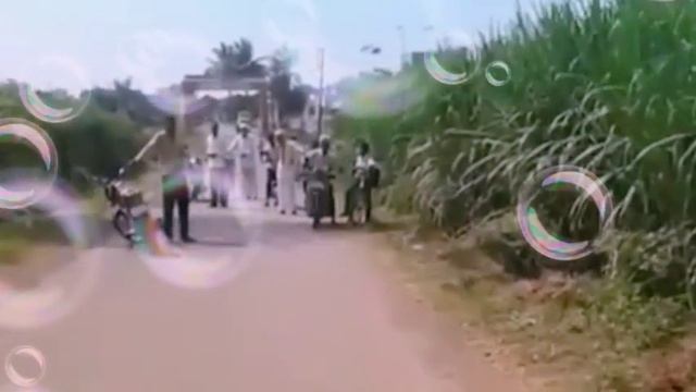 सांप नेवले का युद्ध смотреть онлайн
