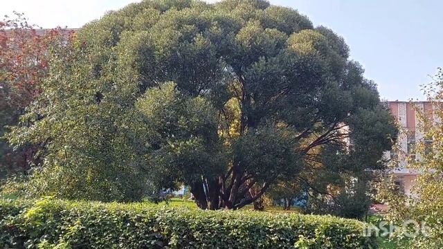 #мояколлекция #обзор Еду в отпуск на Родину | Приморский край смотреть онлайн