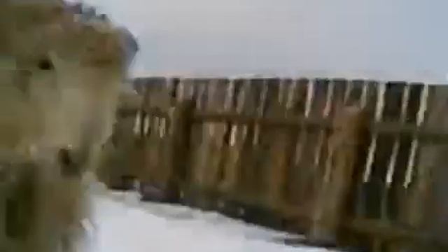 Баран идёт в атаку !!! смотреть онлайн