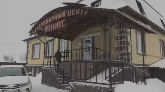 Ветеринарный центр "Феникс"
