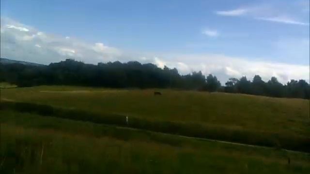 Meningen med mobilen - i naturen смотреть онлайн