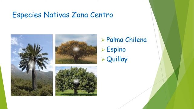 PPT Ciencias Naturales смотреть онлайн