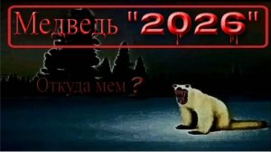 Разбор мема медведь 2026
