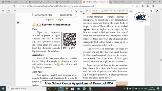 Rotary Club Of Ambattur Class 8th Science Clarification Of Algae смотреть онлайн