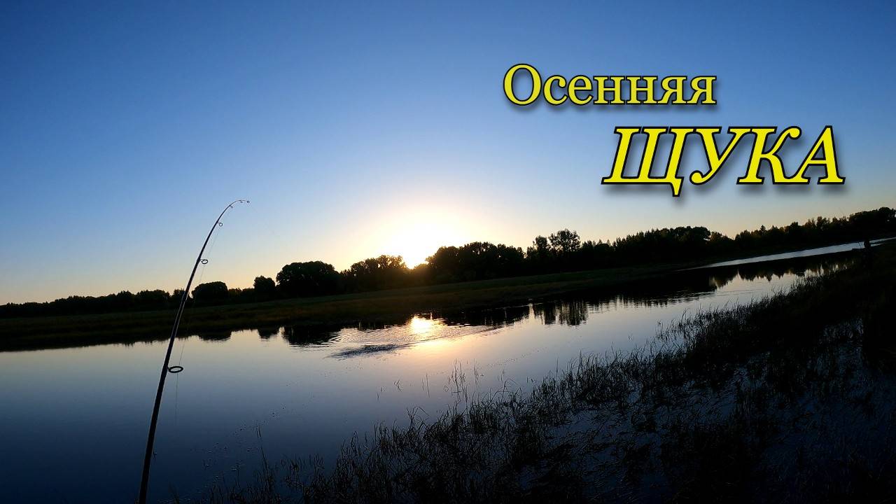 Ловля ЩУКИ в сентябре. Этот воблер опять сделал рыбалку смотреть онлайн