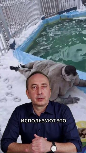 Шокирующая находка в нейросетях что за жуткое видео и зачем оно нужно смотреть онлайн