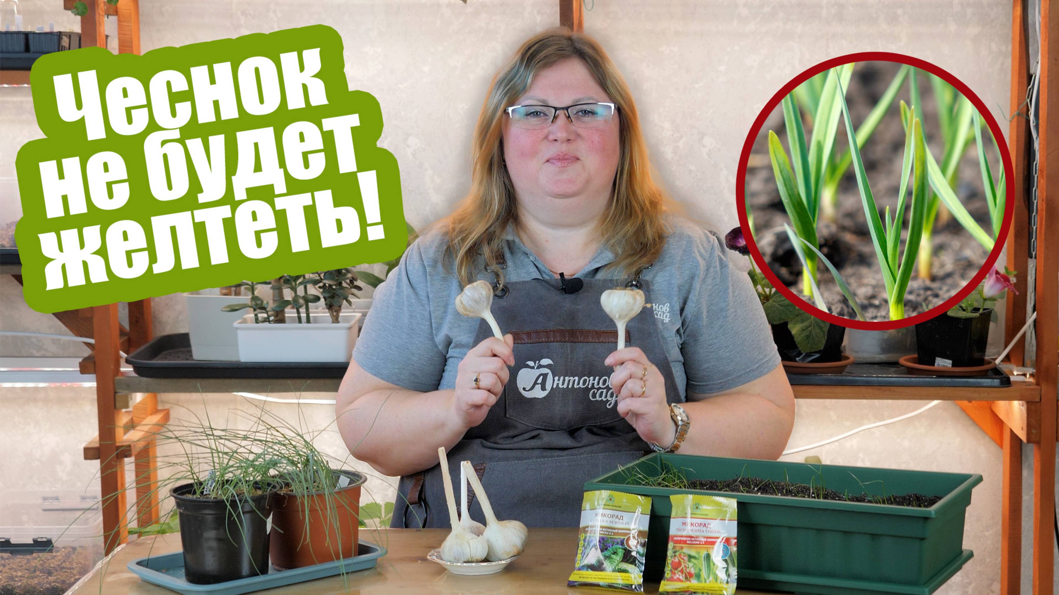 Желеет чеснок Не страшно! Вот 5 способов как это исправить! смотреть онлайн