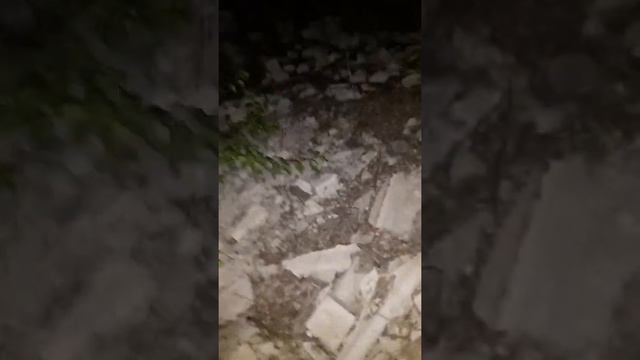Племя ежей смотреть онлайн