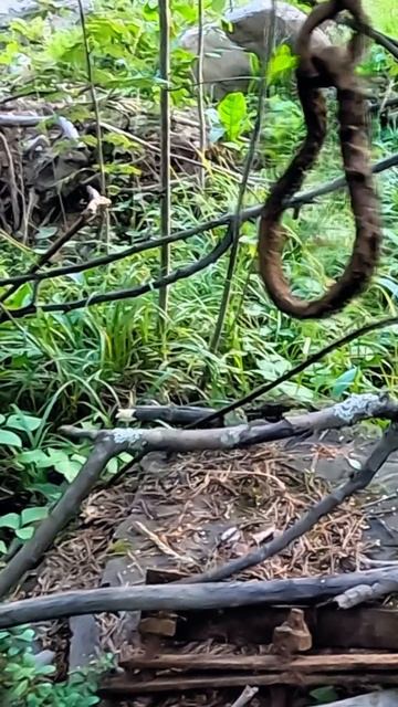 Находки с металлоискателем смотреть онлайн