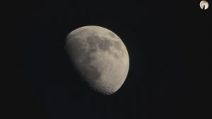 Сура Ат-Тауба (Покаяние), Мишари Рашид, Сура 9