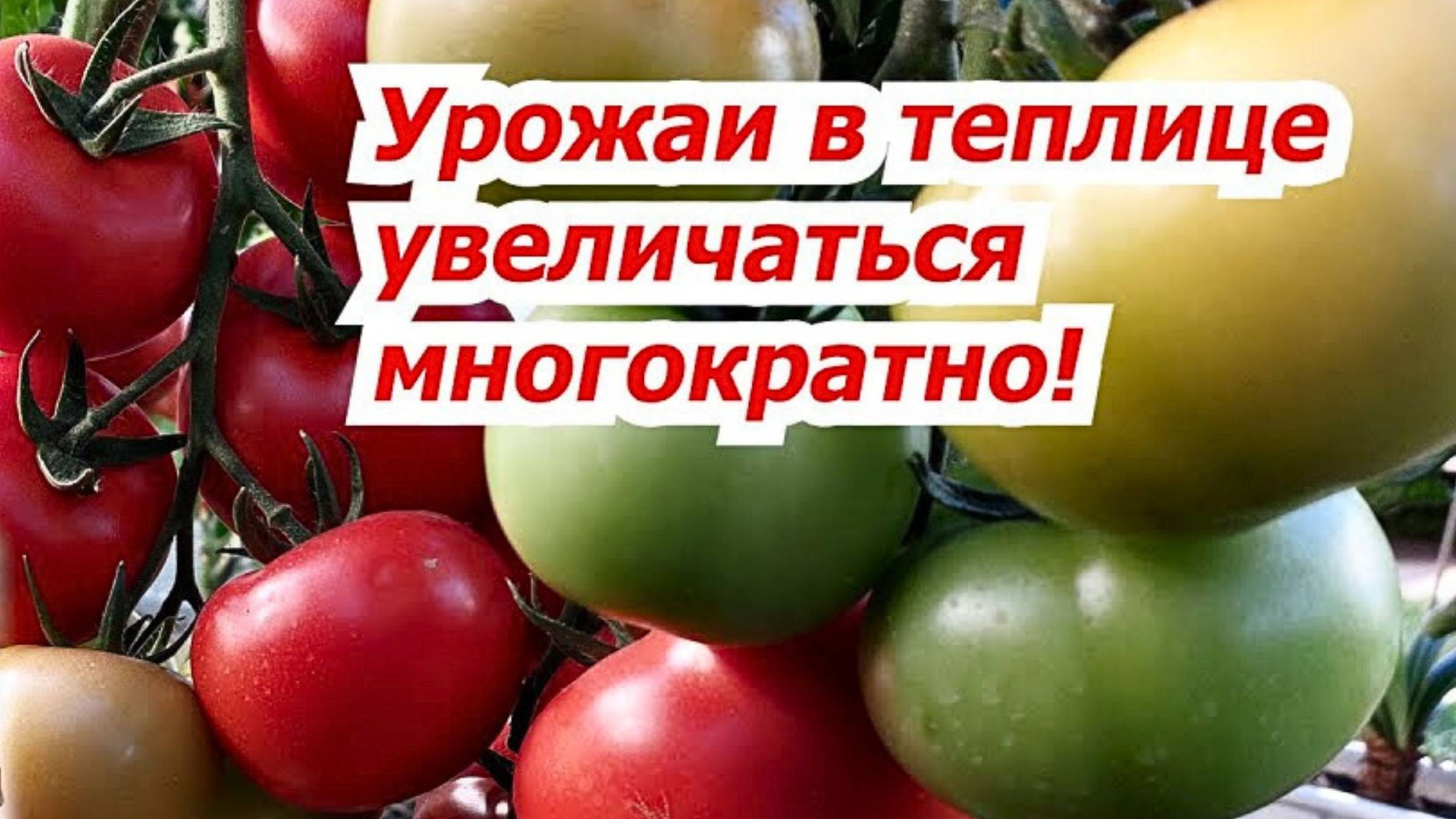 🌱 Как повысить плодородие и избавиться от болезней! 🌿 смотреть онлайн