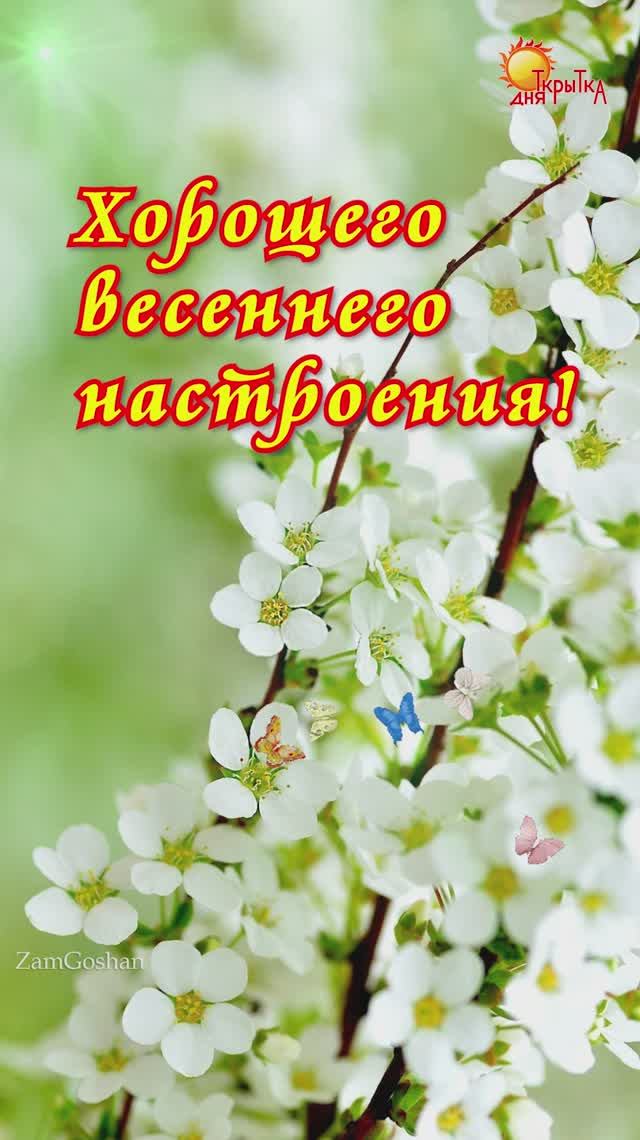 Открытка с пожеланием / Хорошего дня! смотреть онлайн