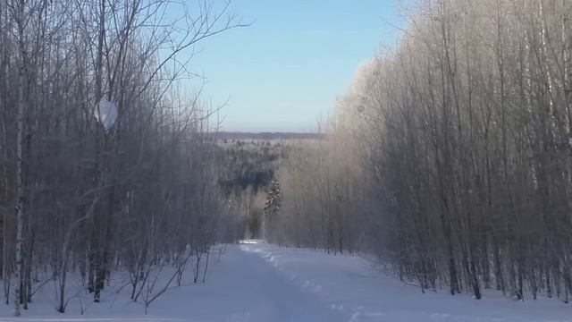 Прогулка с Нанкой (аляскинский маламут), уйма снега, весна, тайга... смотреть онлайн
