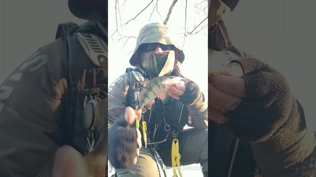 НМРToday(24 марта 2025г)! OnlyCast! Catch &Release Priority!!!