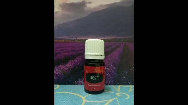 #unboxing #YoungLiving #YLMalaysia UNBOXING DESERT MIST DIFFUSER | YOUNG LIVING ESSENTIAL OILS смотреть онлайн