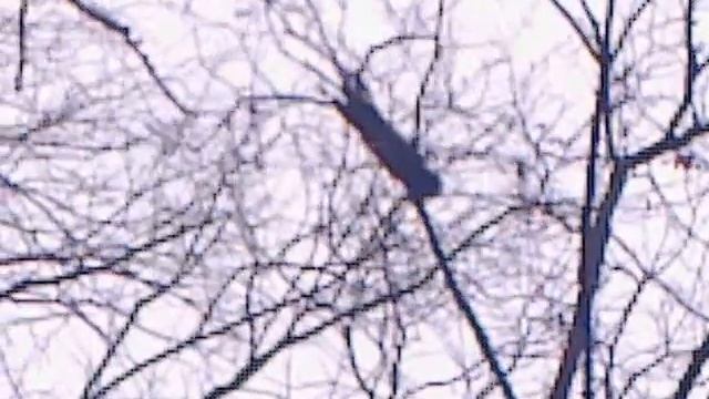 004 смотреть онлайн