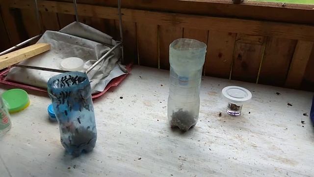 Ловушки от ОС смотреть онлайн