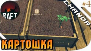 Raft | КАРТОШКА [4]