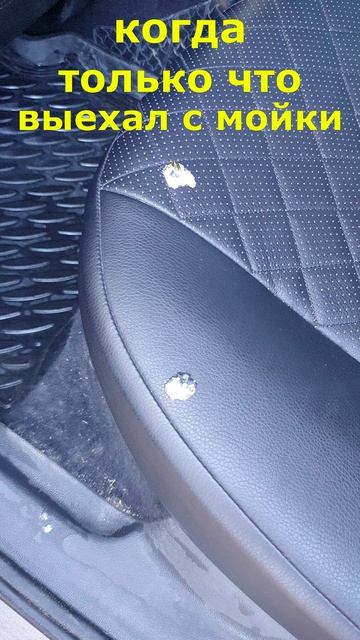 когда только помыл тачку. голубь when I just washed the car. Dove смотреть онлайн