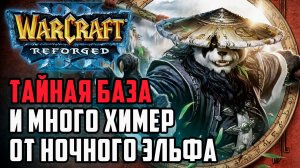 Тайная база и много химер: Demuslim (Hum) vs BazukaFit (Ne) Warcraft 3 Reforged