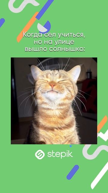 Ссылка на каталог в описании видео👇 А промокод STEPIKRUTUBE25 дает скидку 15% на любой курс Stepik смотреть онлайн