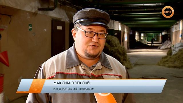 События и факты.12 сентября 2019 день (МИГ ТВ, Ноябрьск) смотреть онлайн