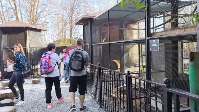 Обитатели парка Южных Культур. Сочи. Адлер. Сириус. Они все прекрасны. смотреть онлайн