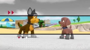 🌼Зума и Свитти🌼~ для канала Toy Bonnie/🐾Zuma x Sweetie🐾~ for Toy Bonnie channel.
