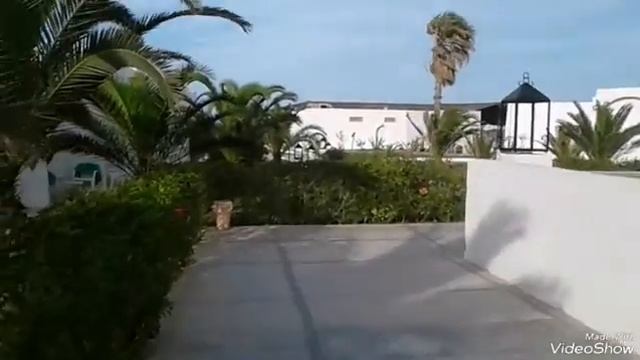 Отель Thalassa sousse 4* . Тунис, Сусс смотреть онлайн