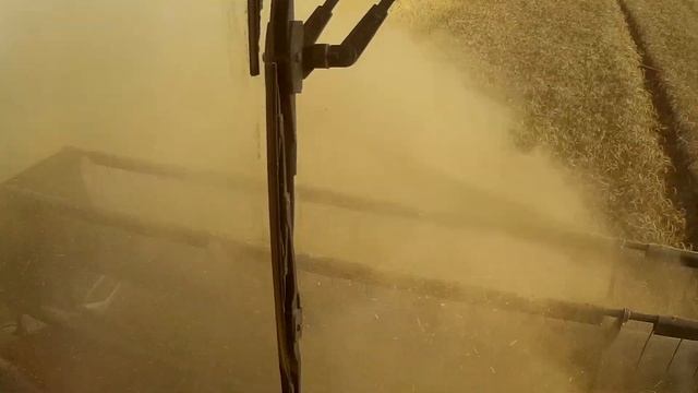 Уборка зерновых в разгаре смотреть онлайн