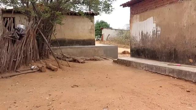 bastidores !! Seu Mané vai chamar seu Sérgio prá pisar milho !! смотреть онлайн